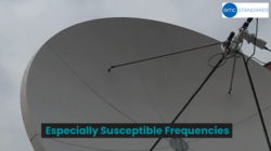 Especially Susceptible Frequencies